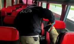 Sıradan Bir Otobüs Sandılar… Gerçek Bambaşkaydı!