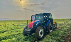 Şırnak’ta 60 Bin Dekar Fıstık Hasadı Başladı! 25 Bin Tonluk Rekolte Bekleniyor