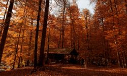 Sonbaharın Renk Cümbüşü Yedigöller’de Hafta Sonu Ziyaretçi Akını