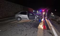 Sürücüler Dikkat: Yaban Hayvanları Karayolunda Tehlike Oluşturuyor