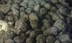 Tır Devrildi: Sürücü Hayatını Kaybetti