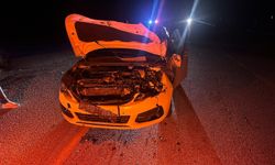 Yola Aniden Çıkan Danaya Çarpan Otomobilde 2 Yaralı