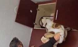 49 Suçtan Aranan Şahıs Şoke Eden Yerde Yakalandı!