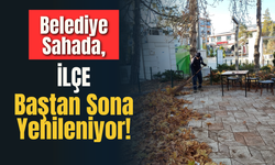 Belediye Sahada, İlçe Baştan Sona Yenileniyor!
