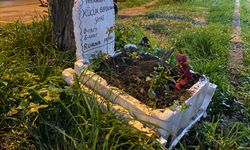 Bir Kuştan Daha Fazlasıydı: Taksi Durağında Duygu Dolu Anlar