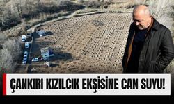 Çankırı Kızılcık Ekşisine Can Suyu!