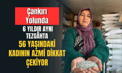 Çankırı Yolunda 6 Yıldır Aynı Tezgâhta: 56 Yaşındaki Kadının Azmi Dikkat Çekiyor