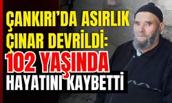Çankırı’da Asırlık Çınar Devrildi: 102 Yaşında Hayatını Kaybetti