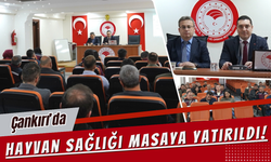 Çankırı’da hayvan sağlığı masaya yatırıldı!