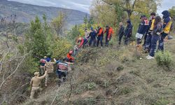 Defne Toplamaya Gitti, Ormanda Hayatını Kaybetti