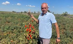 Doğduğu Gün Muhtar Seçilen Dedesi, Torununa “Seçim” Adını Verdi!