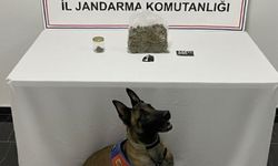 Ev Baskını: Yarım Kilo Skunk, Kokain ve Hap Ele Geçirildi!