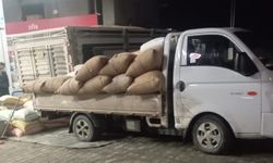 Fındık Fiyatları 280 Lirayı Gördü: Üretici Umutlu