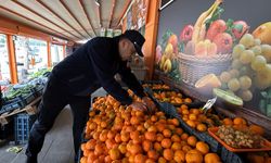 Halk Sağlığı İçin Sahadalar: Çorum’da Manav ve Marketlere Yakın Takip