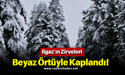 Ilgaz’ın Zirveleri Beyaz Örtüyle Kaplandı!