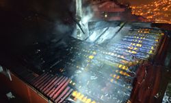 İtfaiyeden Duygulandıran Kurtarma Yangında Mahsur Kalan Papağan Kurtarıldı