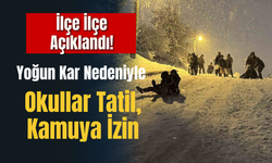 İlçe İlçe Açıklandı! Yoğun Kar Nedeniyle Okullar Tatil Kamuya İzin