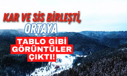 Kar ve Sis birleşti, Ortaya Tablo Gibi Görüntüler Çıktı!