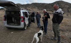 Karanlıkdere Vadisi’nde Su Çekildi, Yaban Hayvanları Bölgeyi Terk Ediyor