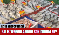 Kışın Vazgeçilmezi Balık Tezgahlarında Son Durum Ne?