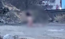 Köprü Altında Şaşırtan Görüntü: Çıplak Şahıs Polisi Harekete Geçirdi