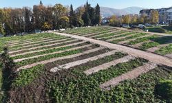 Mezarlık Sorununa Kalıcı Çözüm: Yeni Alanlarda Defin Başladı!