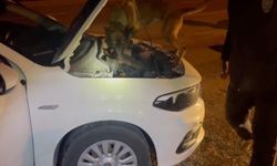 Narkotik Ekiplerinden Gece Operasyonu! 5 Şüpheli İçin Kritik Karar