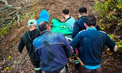 Ormanda iş kazası: Tomruk ayağına düştü, sedyeyle taşınarak kurtarıldı!