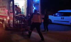 Promil ölçümü şaşırttı: Köprü kemerine çıkan adam zemine çakıldı