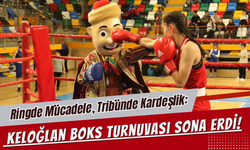 Ringde Mücadele, Tribünde Kardeşlik: Keloğlan Boks Turnuvası Sona Erdi!
