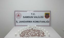 Samsun’da Jandarmadan Narkotik Darbesi: 1 Tutuklama, Çok Sayıda Hap