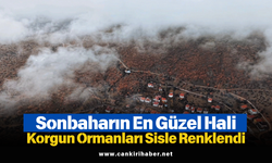 Sonbaharın En Güzel Hali: Korgun Ormanları Sisle Renklendi