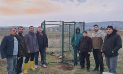 Süneyle Mücadelede Yeni Dönem!