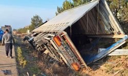 Tır Devrildi: 36 Büyükbaştan 5’i Telef Oldu!