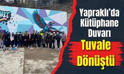 Yapraklı’da Kütüphane Duvarı Tuvale Dönüştü
