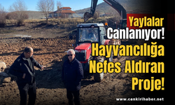Yaylalar Canlanıyor! Hayvancılığa Nefes Aldıran Proje!