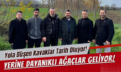 Yola Düşen Kavaklar Tarih Oluyor! Yerine Dayanıklı Ağaçlar Geliyor!