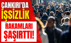 Çankırı'da İşsizlik Rakamları Şaşırttı!