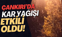 Çankırı’da Kar Yağışı Etkili Oldu!