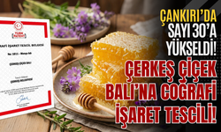 Çerkeş Çiçek Balı’na Coğrafi İşaret Tescili! Çankırı’da Sayı 30’a Yükseldi!