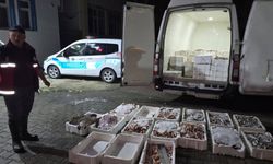 Denetimde Şok Tablo: Yasal Boyun Altında 1,5 Ton Balık Yakalandı