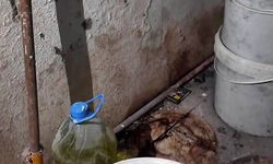 Halk Sağlığı Alarmı! Fırınlarda Skandal Görüntüler