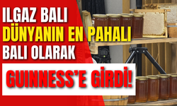 Ilgaz Balı Dünyanın En Pahalı Balı Olarak Guinness’e Girdi!
