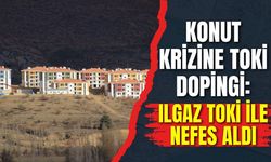 KONUT KRİZİNE TOKİ DOPİNGİ: ILGAZ TOKİ İLE NEFES ALDI