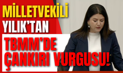Milletvekili Yılık’tan TBMM’de Çankırı Vurgusu!