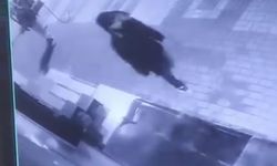 Park Halindeki Araçlara Saldırdılar, Kameraya Yakalandılar