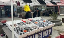 Tezgâhların Yıldızı Hamsi Oldu: Balıkçı Esnafı Sezonu Değerlendirdi