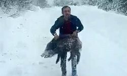 Yaban Domuzu Yavrusunu Eliyle Yakaladı