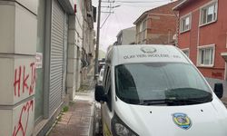 7. Kattan Atladı! Eve Giren Polis Şoke Oldu