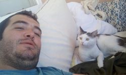 8 Aydır Kaybolan Kedisi İçin Binlerce Kilometre Yol Yaptı